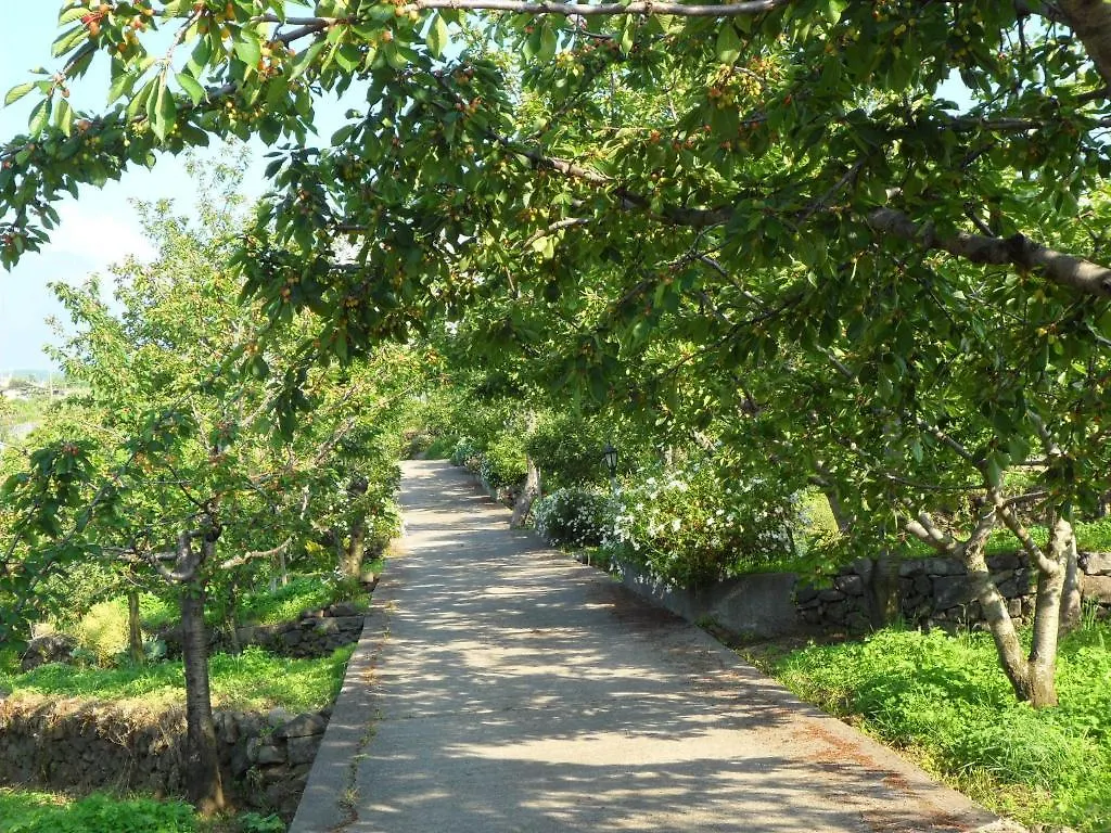 Bed & Breakfast B&B Dimora Dell'Etna Milo